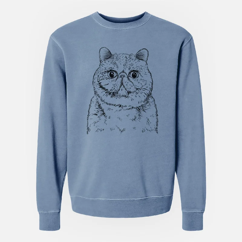 Bare Squish the Exotic Shorthair Cat - Unisex Pigment Dyed Crew Sweatshirt Hoodie with Half-Zip Sporty Casual